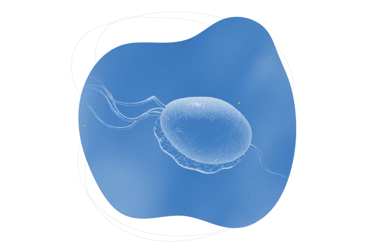 تریکومونیازیس