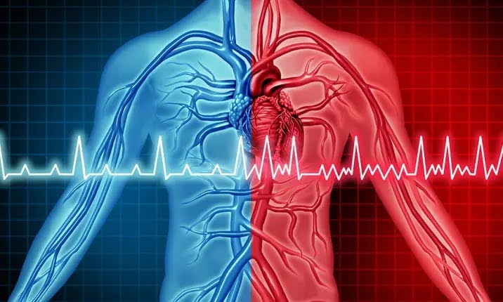 تپش قلب چگونه تشخیص داده می‌شود؟