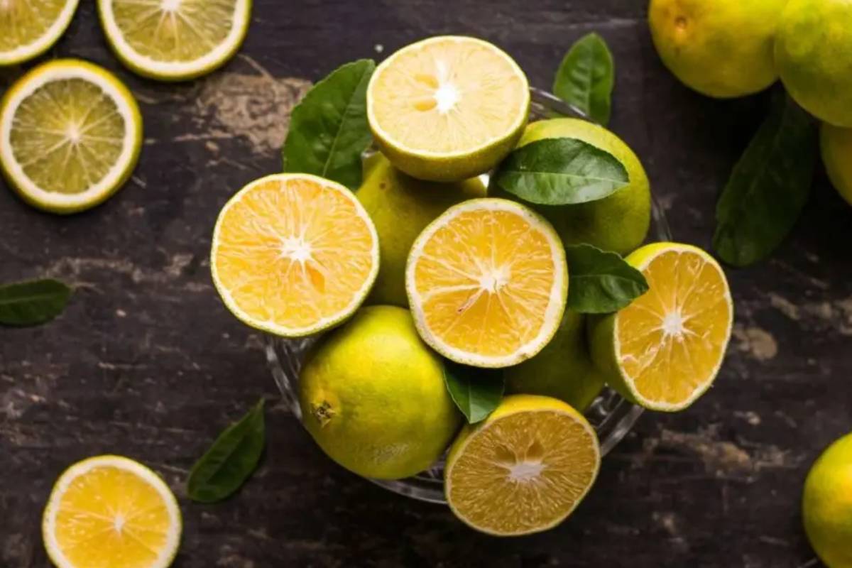 آیا لیمو شیرین قند دارد؟
