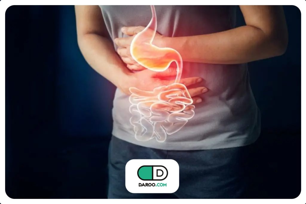 آناتومی معده