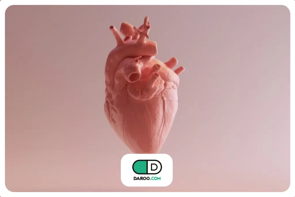 قلب