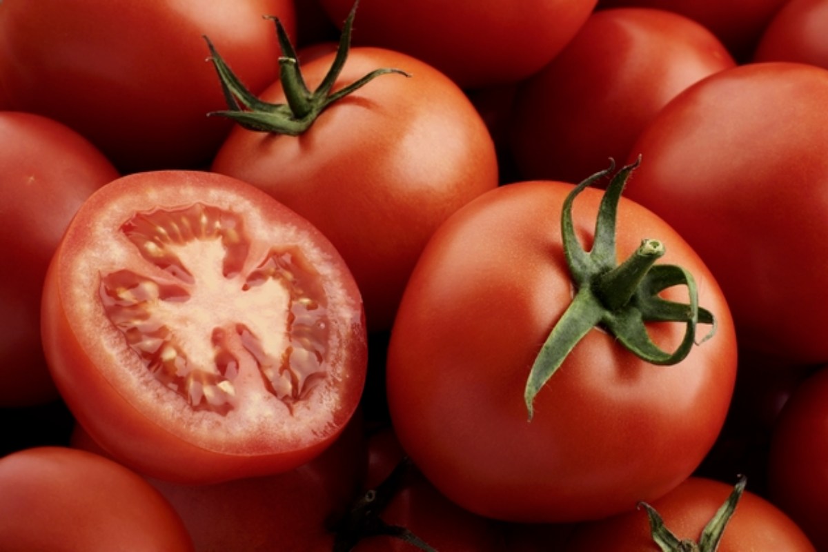 قند گوجه فرنگی چقدر است؟