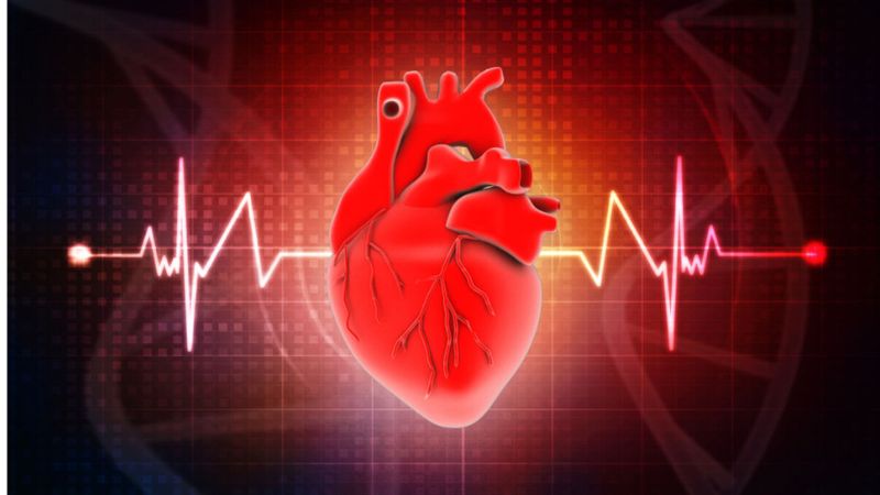 ارتباط بین تپش قلب و لرزش بدن