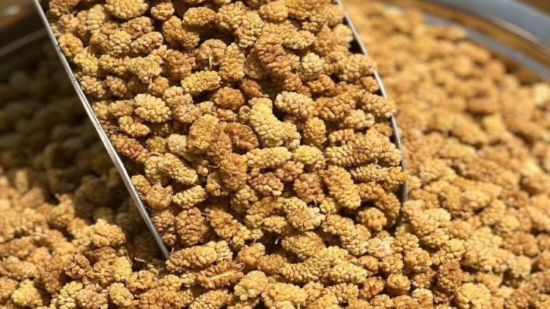 فواید توت خشک برای قند خون