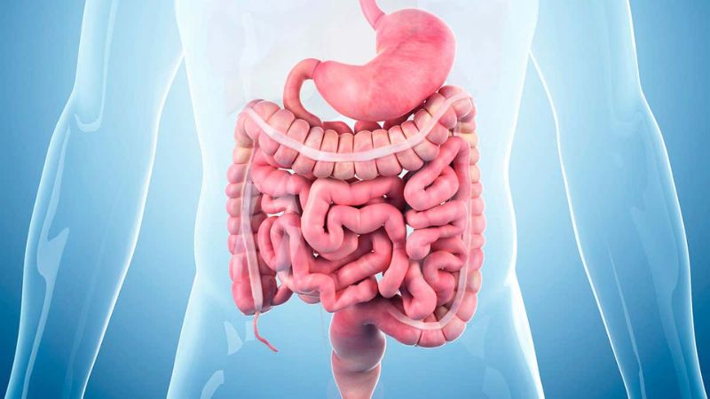 انواع سندرم روده تحریک‌پذیر