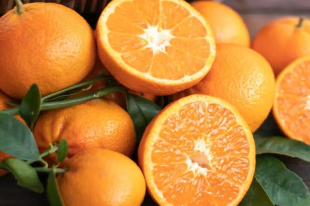 آیا پرتقال قند دارد