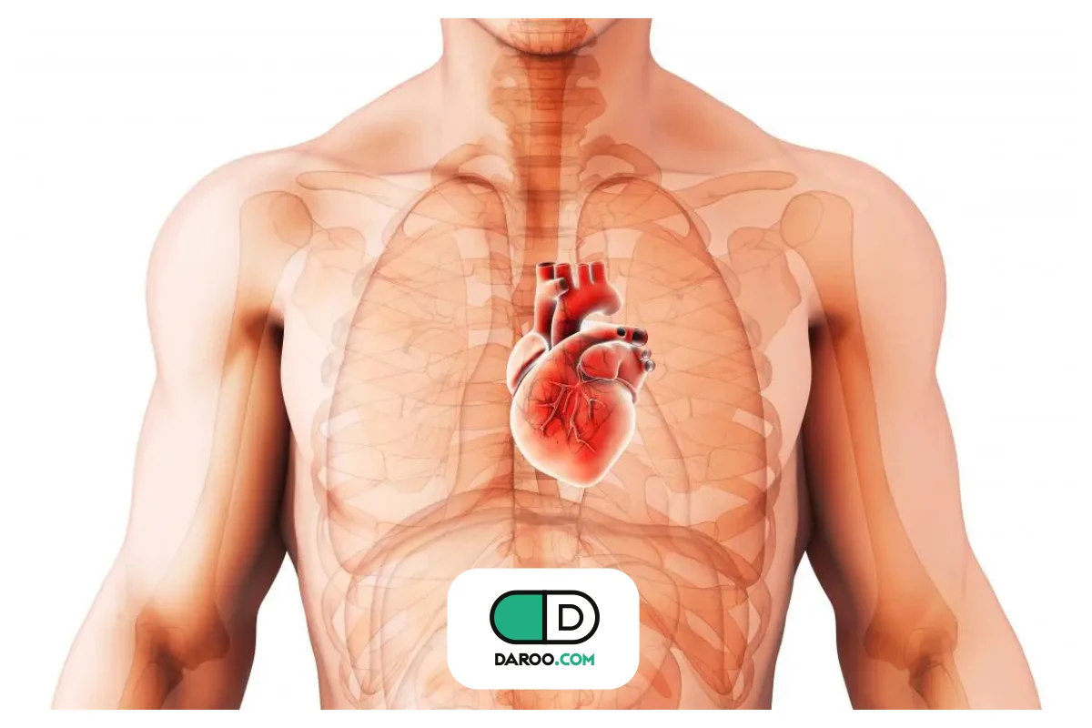 محل دقیق درد قلب در بدن؛ چگونه درد قلبی را شناسایی کنیم؟