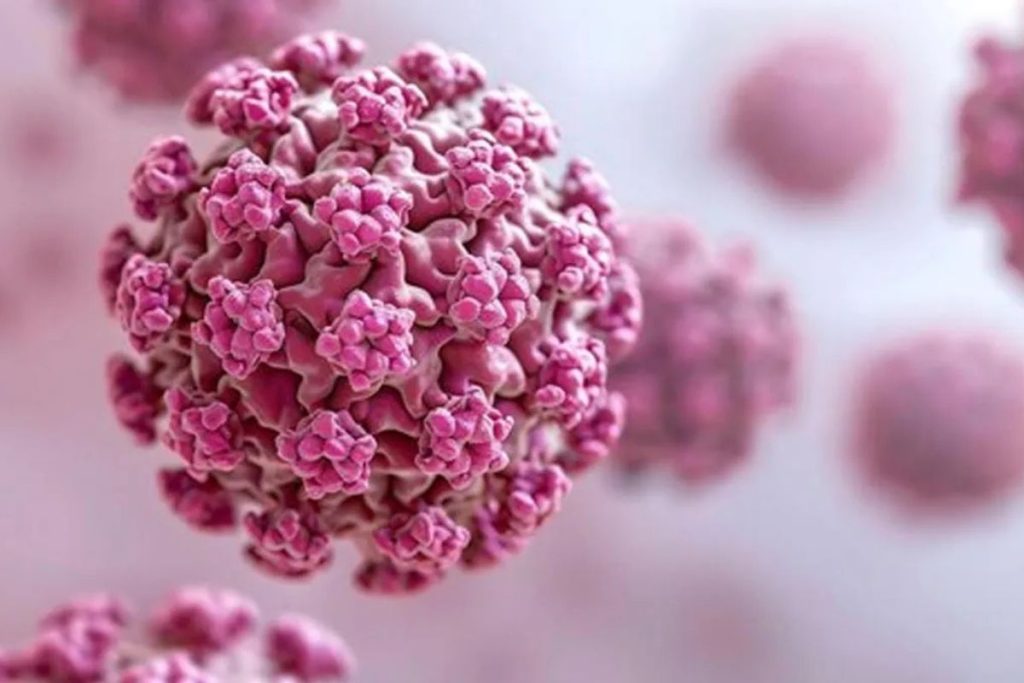 انواع HPV پرخطر