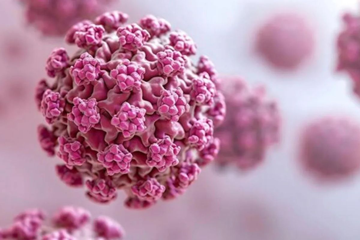 انواع HPV پرخطر