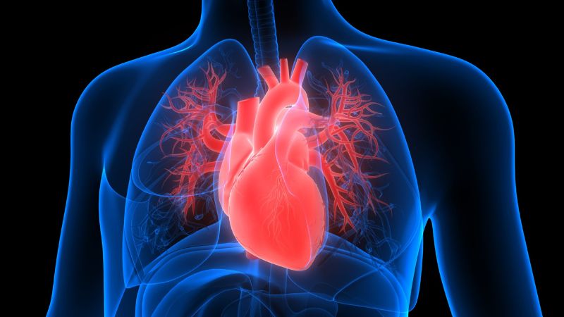 عوارض جانبی داروهای گرفتگی رگ قلب