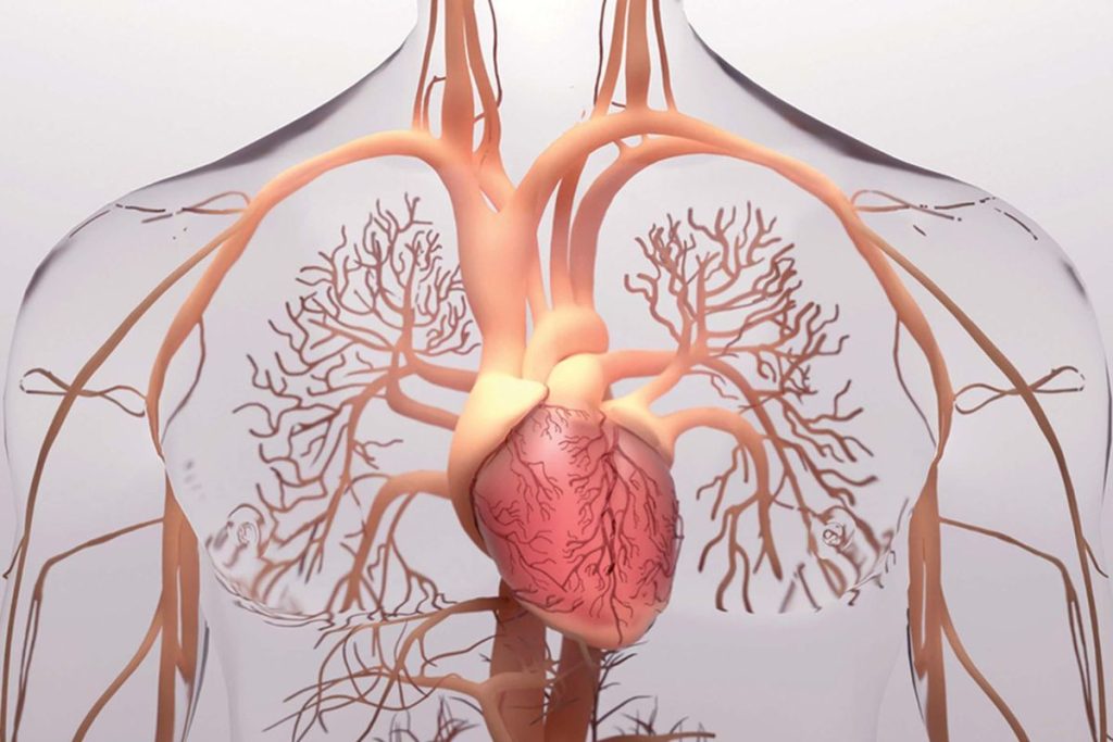 تاثیر دارو در درمان گرفتگی رگ قلب