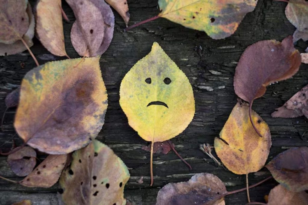 مقابله با افسردگی فصلی