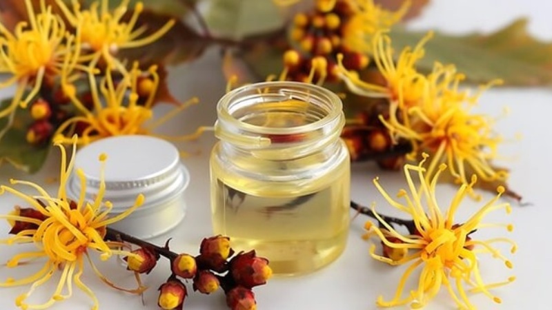 عصاره فندق افسونگر