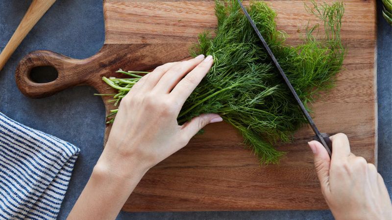 عوارض جانبی احتمالی مصرف شوید عوارض جانبی احتمالی مصرف شوید