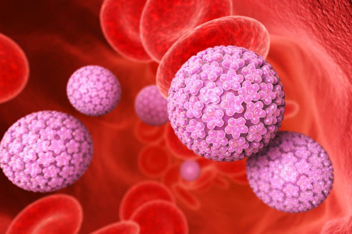 راههای تقویت سیستم ایمنی بدن در برابر زگیل تناسلی