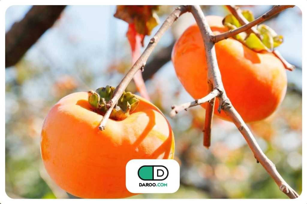 ۵ نکته مهم برای خوردن خرمالو در شب یلدا برای دیابتیها