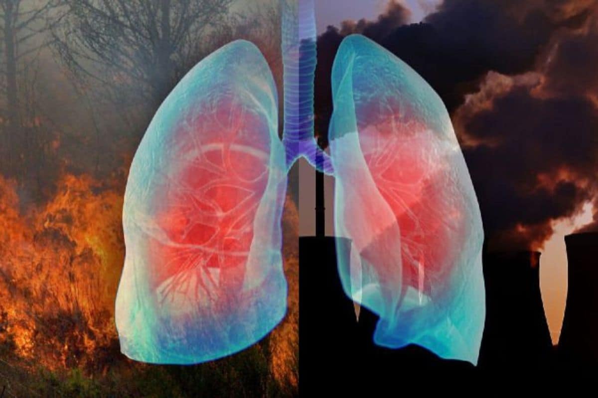 علائم هشدار دهنده در مبتلایان به بیماریهای ریه در دوران آلودگی هوا