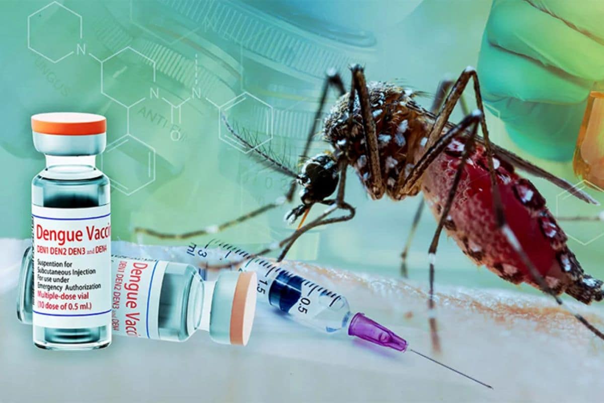 اولین واکسن تب دِنگی در جهان در برزیل ساخته شد!