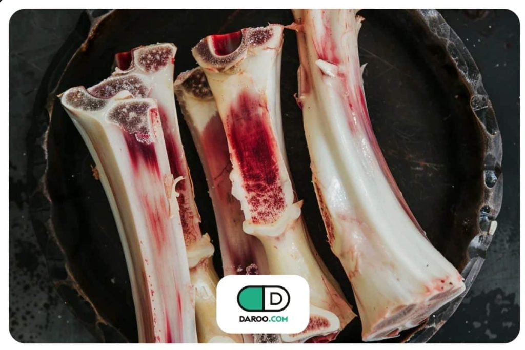 عصاره قلم گاو از دیدگاه تغذیه؛ مروری بر خواص و ضرورت مصرف