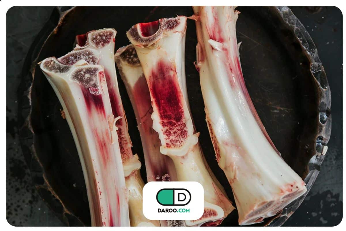 عصاره قلم گاو از دیدگاه تغذیه؛ مروری بر خواص و ضرورت مصرف