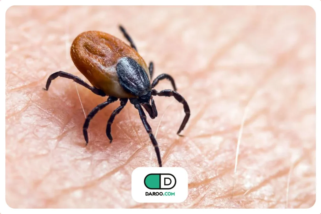 بیماری لایم مزمن