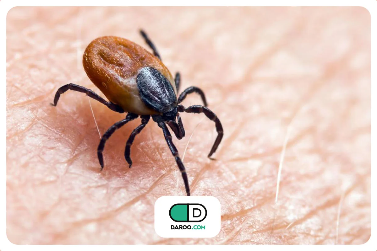 بیماری لایم مزمن