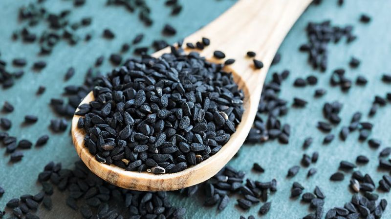 ادویه باستانی و تحقیقات مدرن