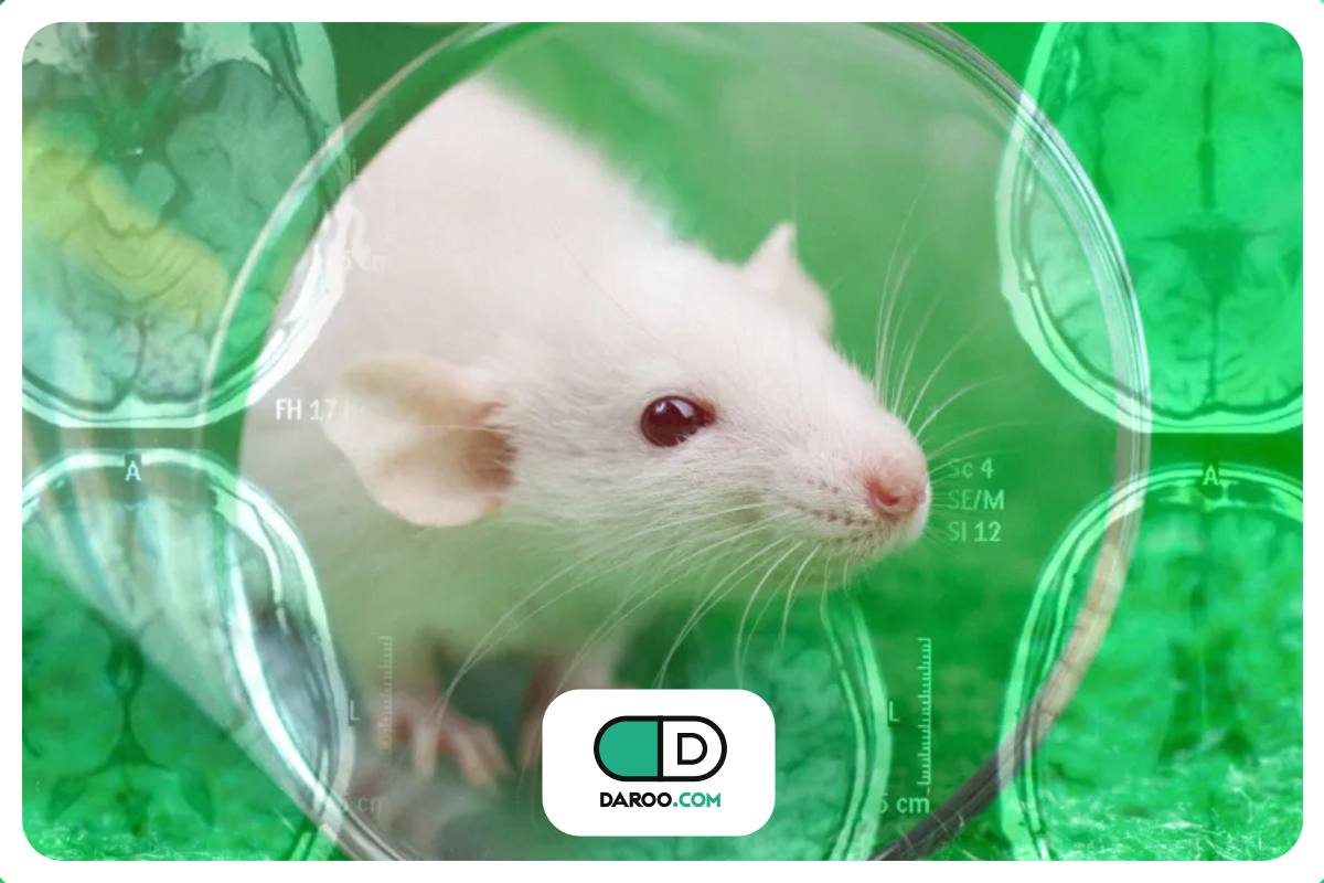 یک مطالعه جدید؛ معکوس کردن روند آلزایمر در موش‌ها