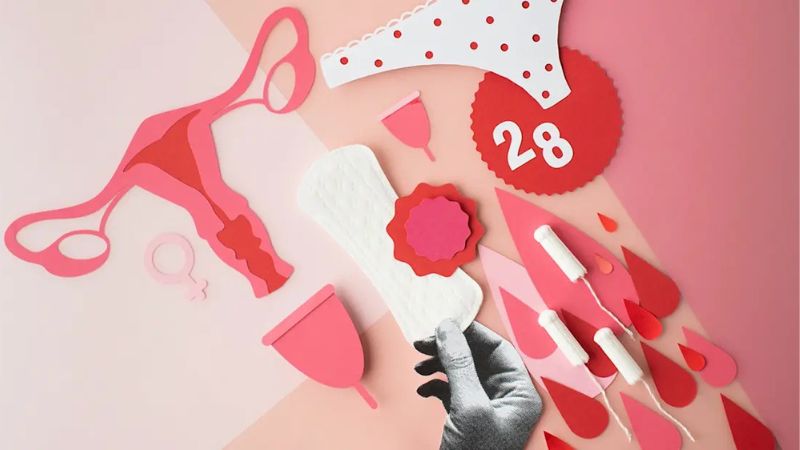 مراحل چرخه قاعدگی و میزان باروری مراحل چرخه قاعدگی و میزان باروری