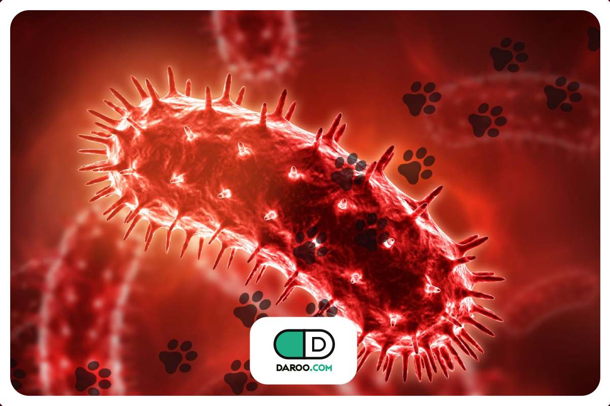 ابتلای یک دریافت کننده کلیه به هاری در آمریکا