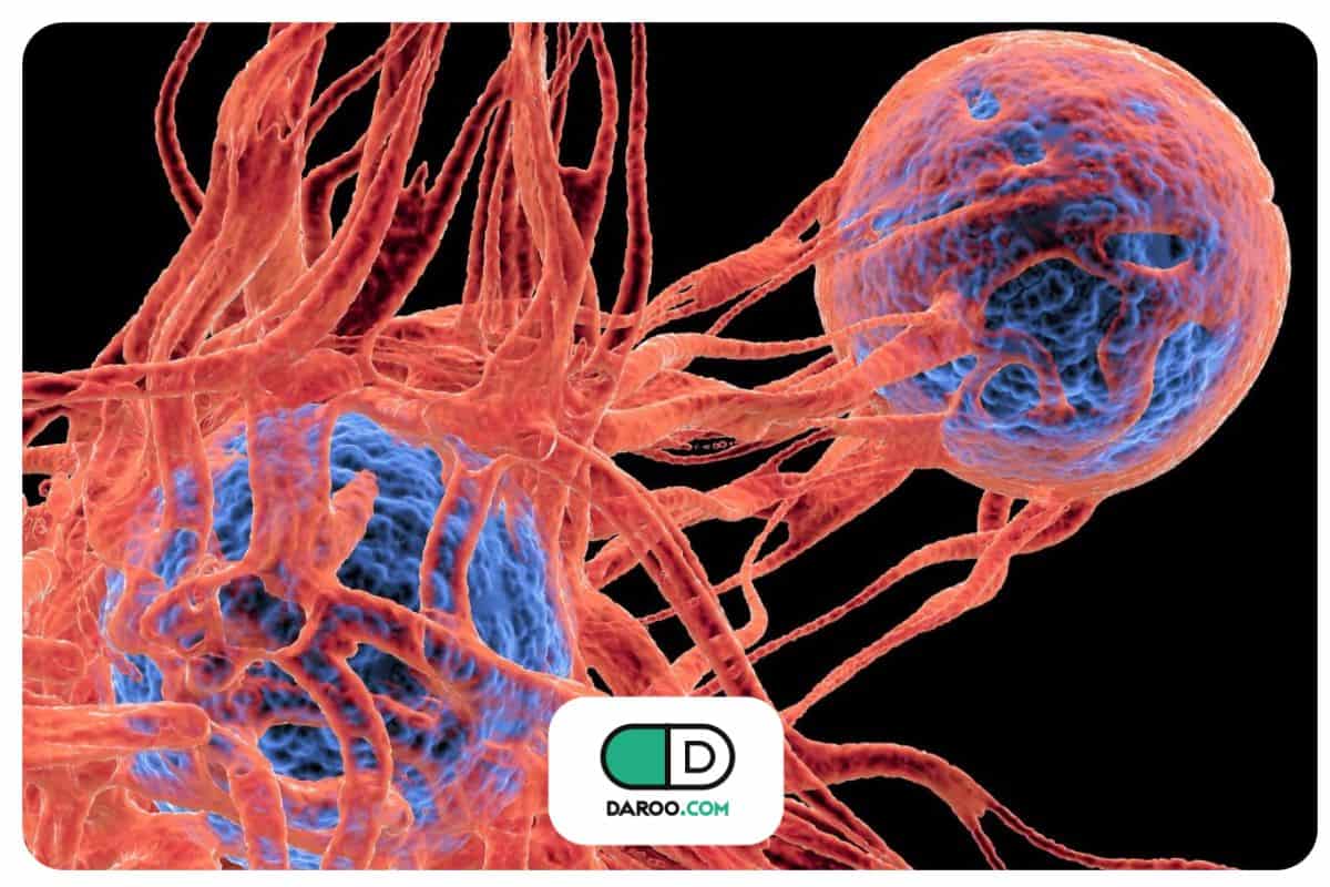 ۲ عادت ساده که سد دفاعی شما در برابر سرطان می‌شوند