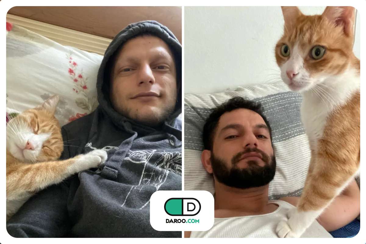 گربهها، کلید درمان سرطان در انسانها