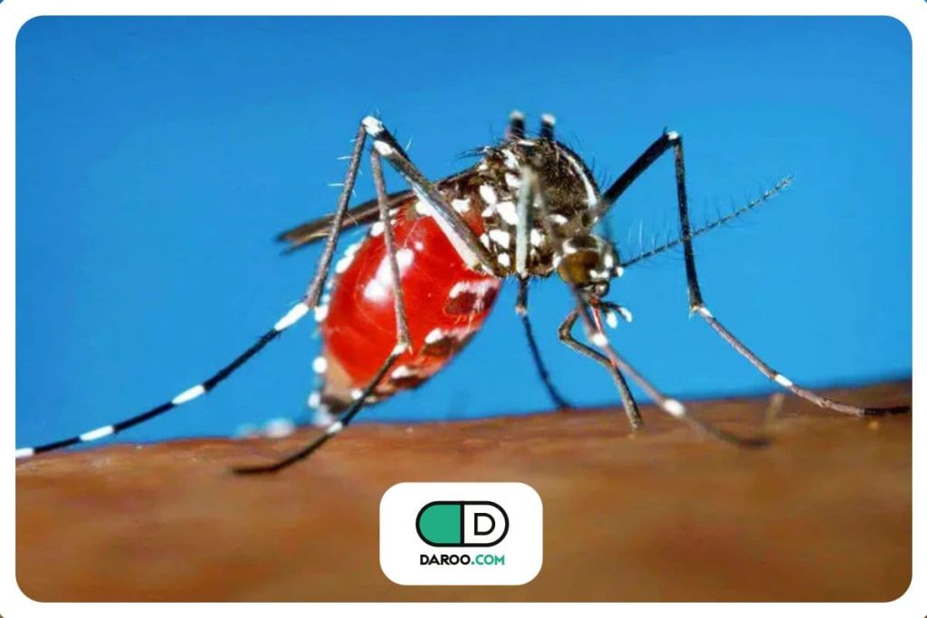 آخرین آمار تب دنگی در کشور؛ تعداد مبتلایان به ۱۲۱۸ نفر رسید