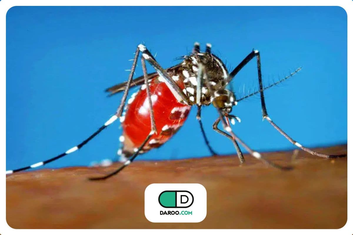 آخرین آمار تب دنگی در کشور؛ تعداد مبتلایان به ۱۲۱۸ نفر رسید