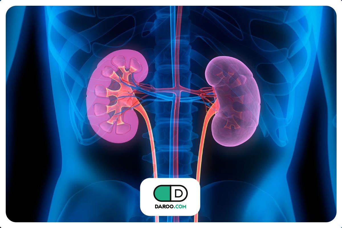 کلیهها و افسانههای خطرناک سلامتی