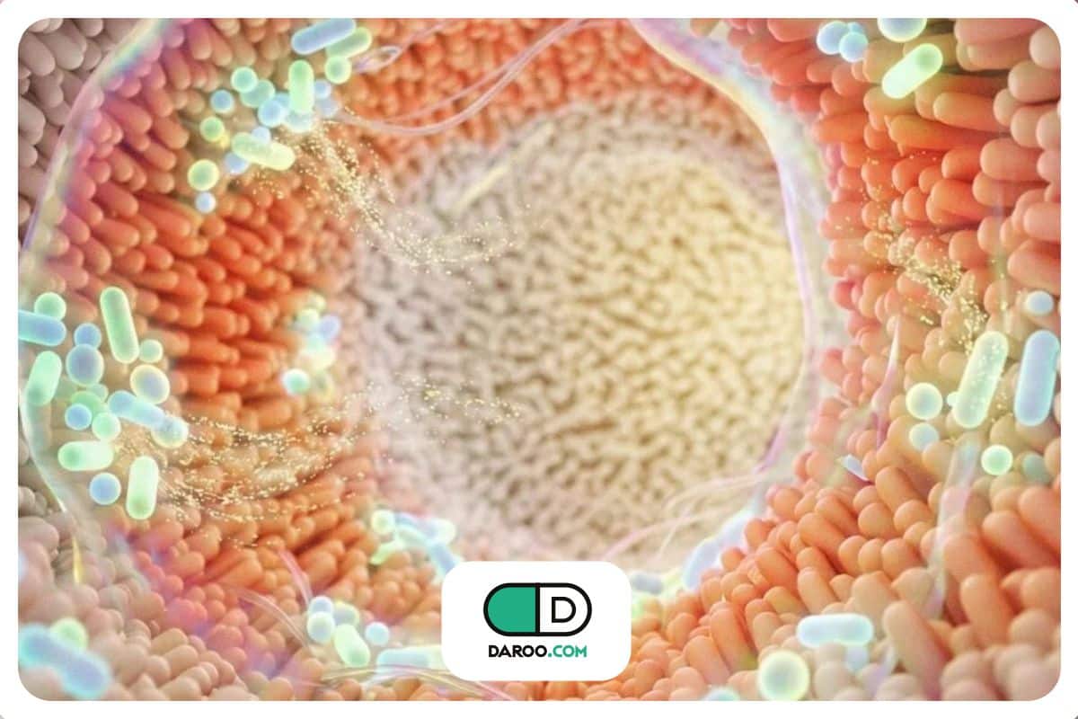 تعدیل میکروبیوم روده؛ راهکاری نوین برای کاهش ریسک ابتلا به سرطان