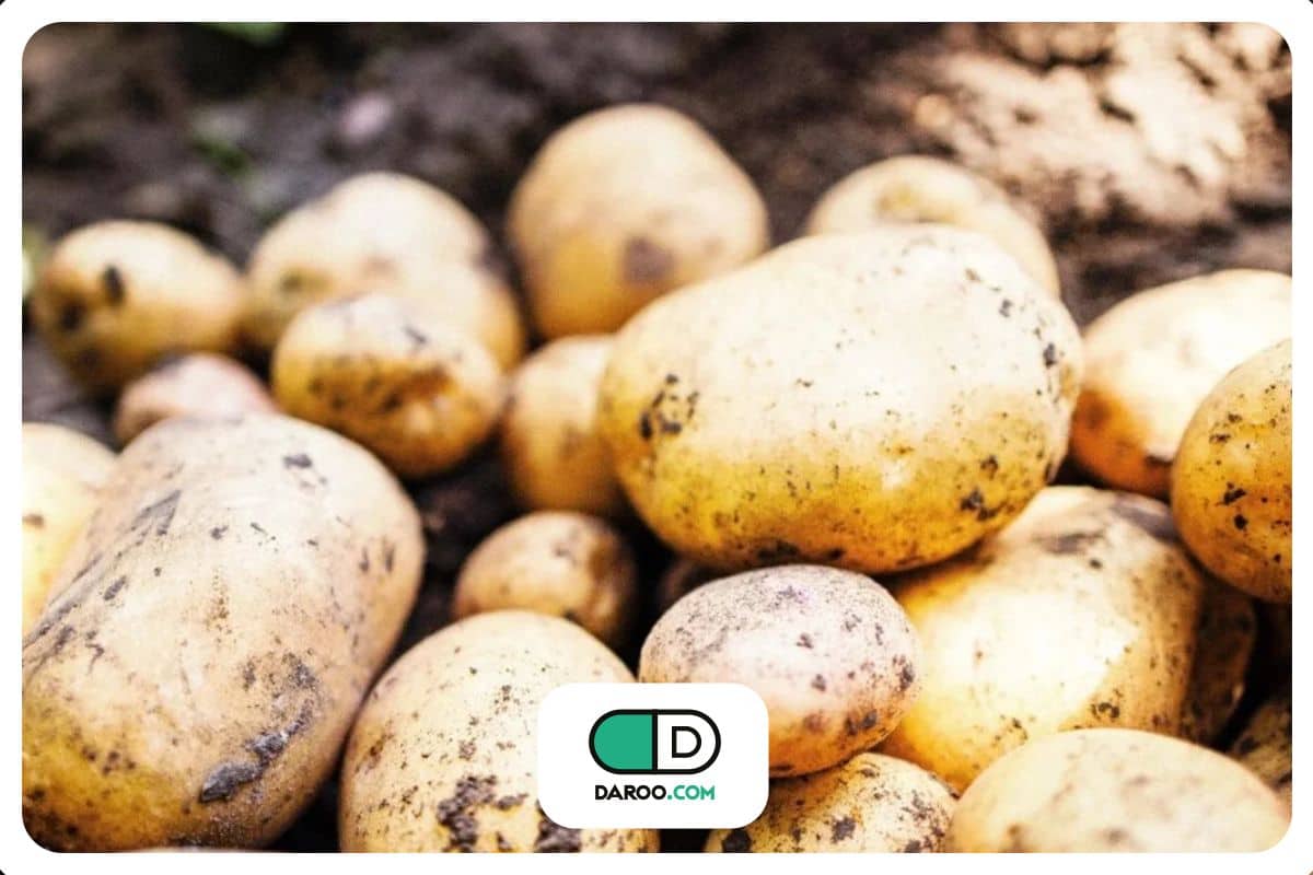 درمان معدهدرد و کاهش وزن با یک تغییر ساده در مصرف سیبزمینی